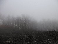 nte Fontane-201011107 082